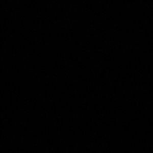 Meet your Posher, Celica